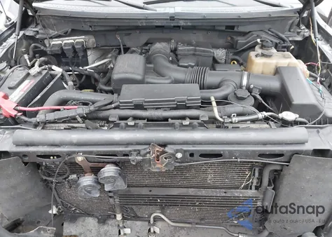 2010 Ford F-150 Fx4/Harley-Davidson/King Ranch/Lariat/Platinum/Xl/Xlt z USA, uszkodzony, nr VIN 1FTFW1EV4AFC22316